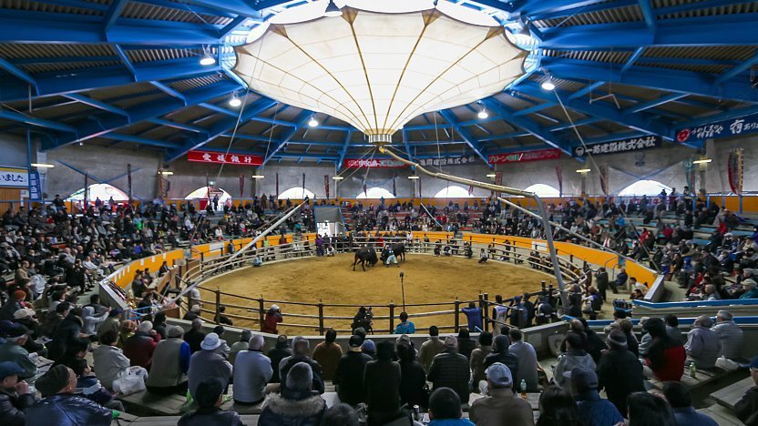 🏟️ 우와지마 시영 투우장 (우와지마시 에이 토-규-조-) 이미지 3